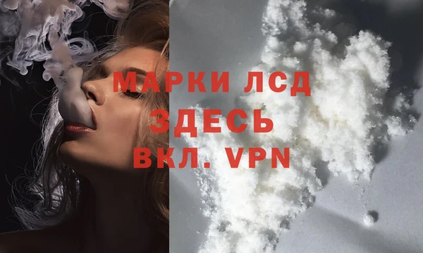 индика Балабаново