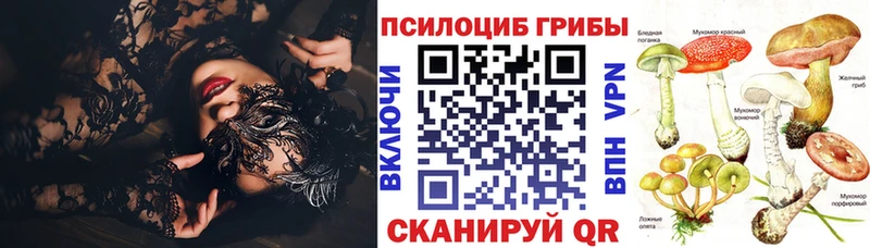 Псилоцибиновые грибы GOLDEN TEACHER  что такое наркотик  Курильск 