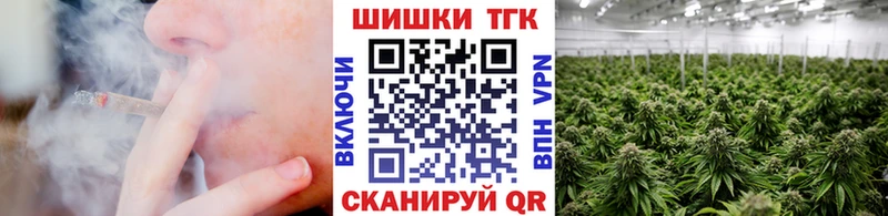 Бошки марихуана план  купить наркотик  Курильск 